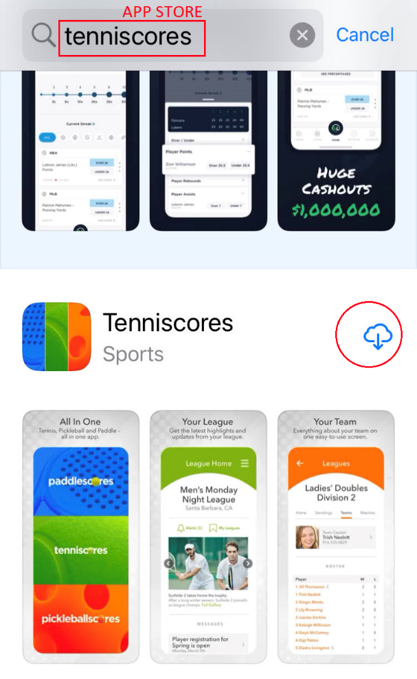 Apple App Store